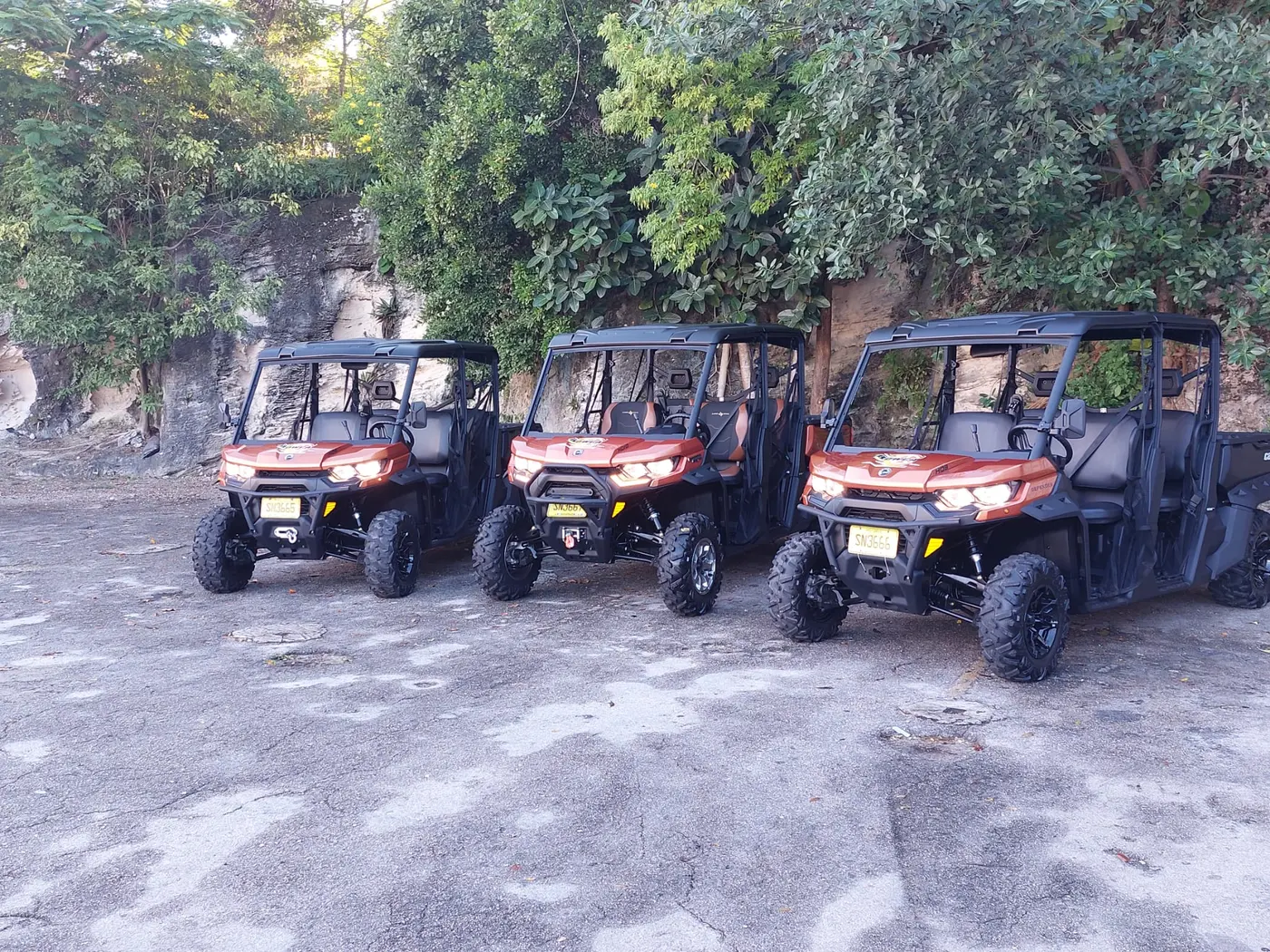 Three Bowcar buggies
