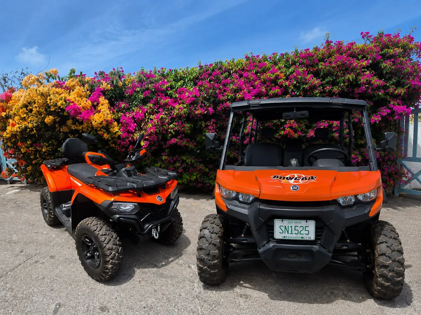 An orange ATV and buggy in front of bougainvillea