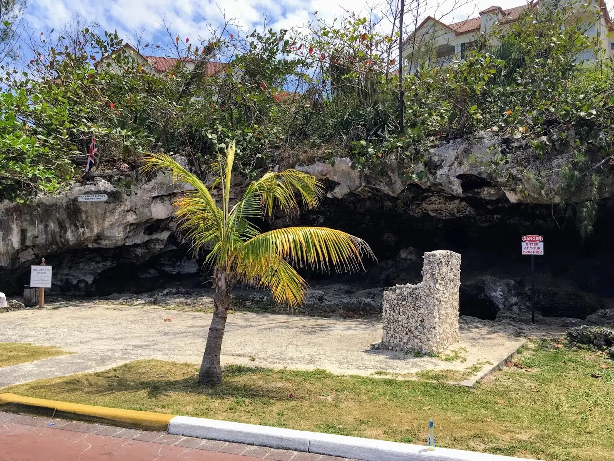 The entrance to the caves, with a palm tree